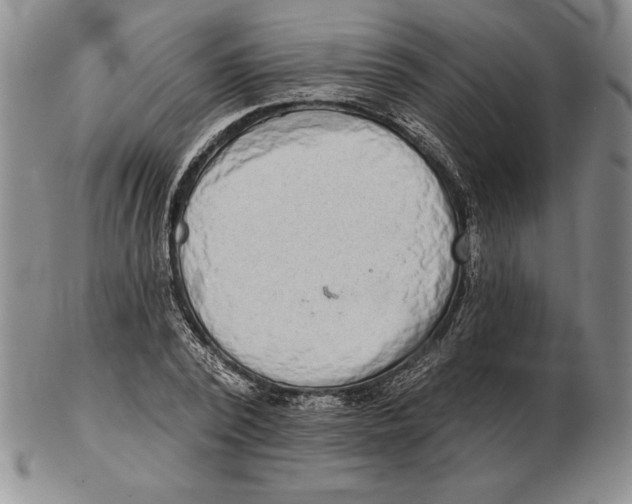 X0000102360784200808221715