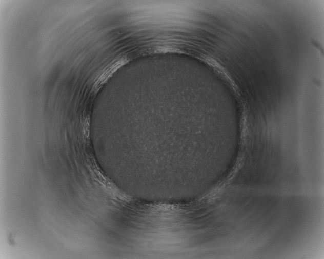 X0000102360785200808221715