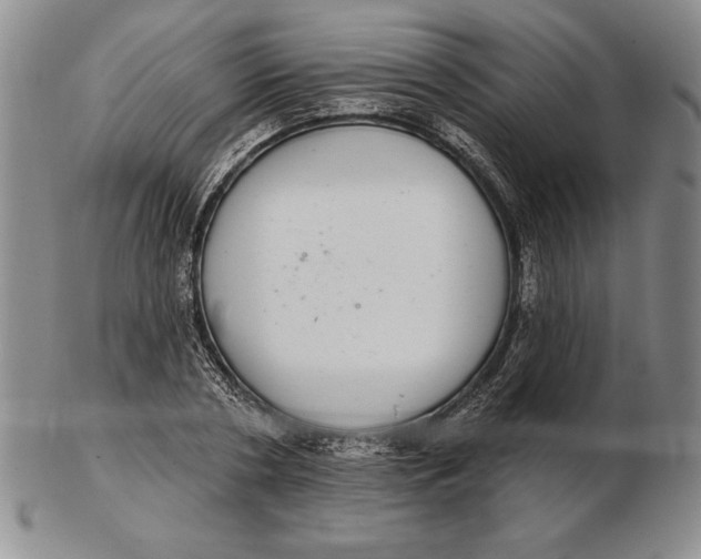 X0000102360786200808221715