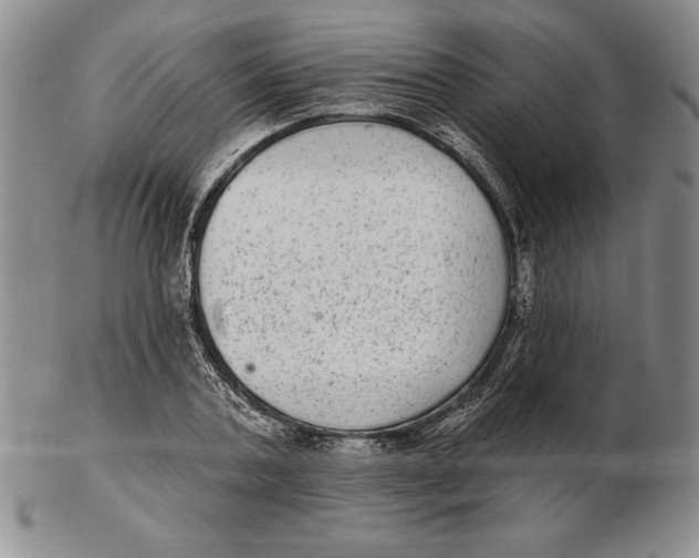 X0000102360787200808221715