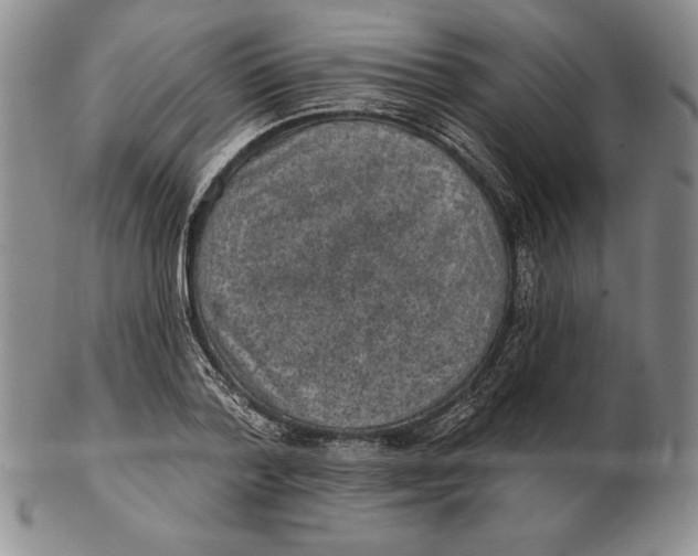 X0000102360788200808221715