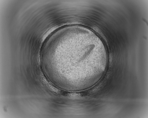 X0000102360789200808221715