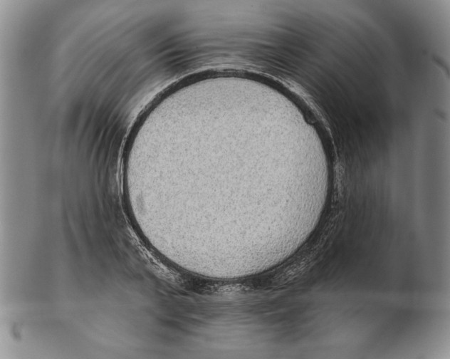 X0000102360791200808221715