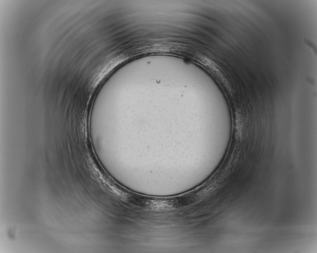 X0000102360794200808221715