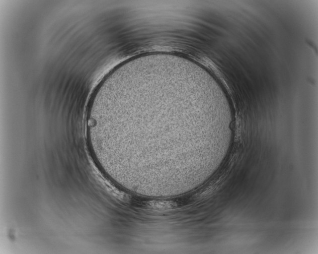 X0000102360795200808221714