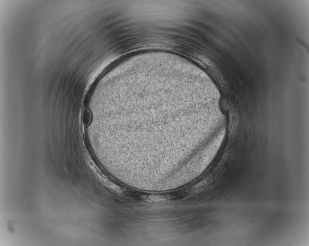 X0000102360796200808221714