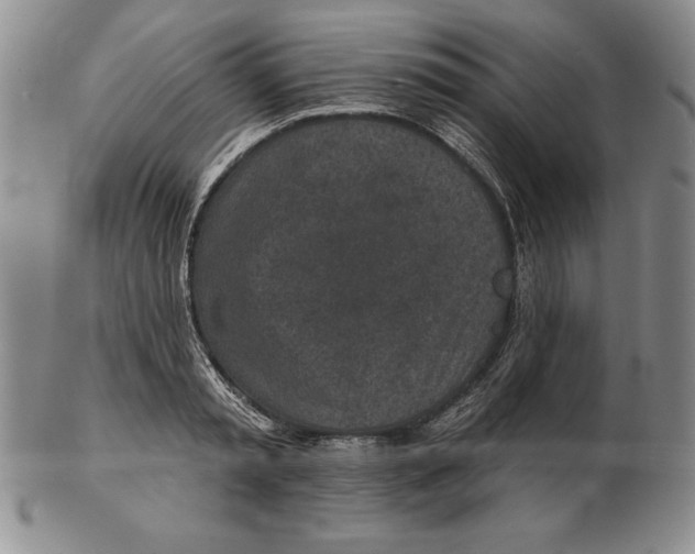 X0000102360797200808221714