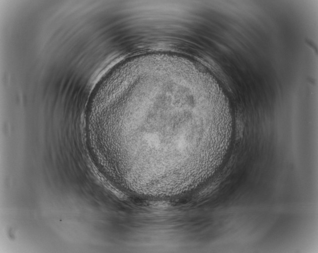 X0000102360798200808221714