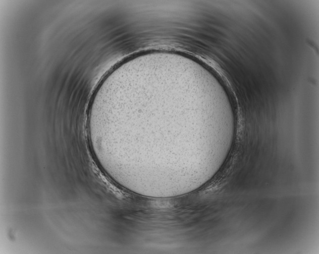 X0000102360799200808221714