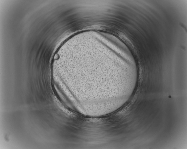 X0000102360800200808221714