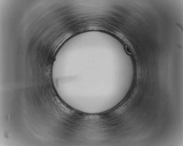 X0000102360801200808221714