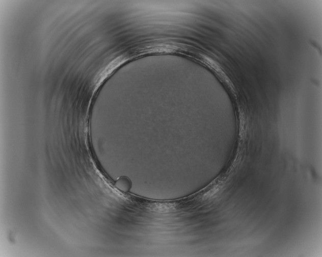 X0000102360802200808221714