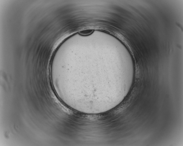 X0000102360803200808221714