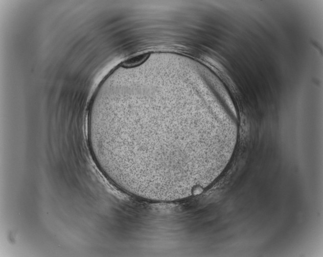 X0000102360804200808221714