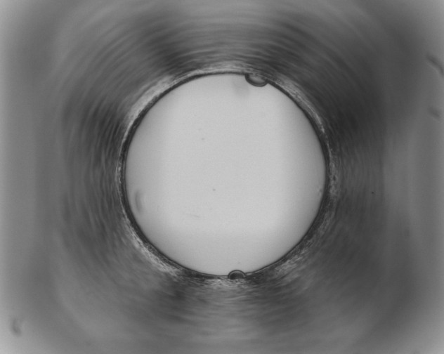 X0000102360805200808221714