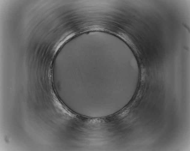 X0000102360806200808221714