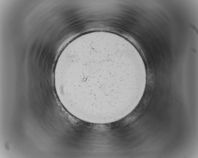 X0000102360807200808221714