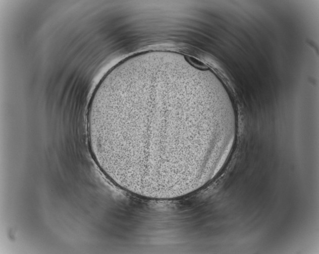 X0000102360808200808221714