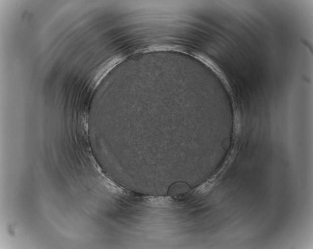 X0000102360809200808221714