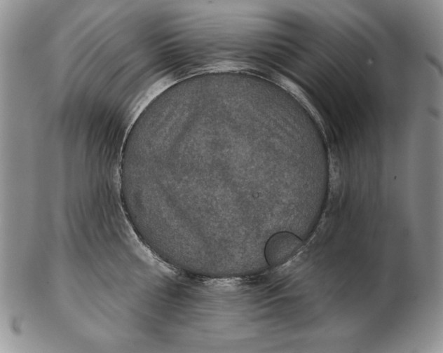 X0000102360810200808221714