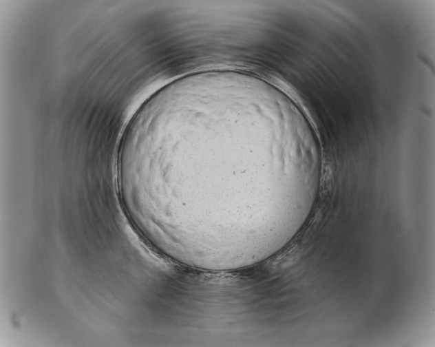 X0000102360811200808221714