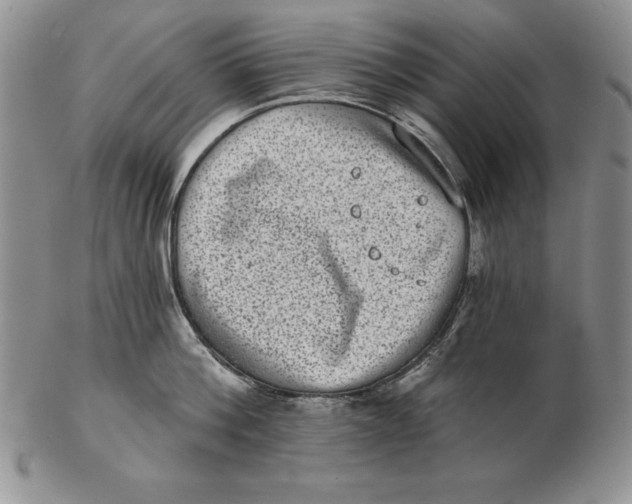 X0000102360812200808221714