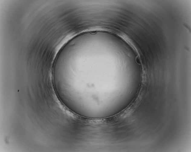 X0000102360813200808221714