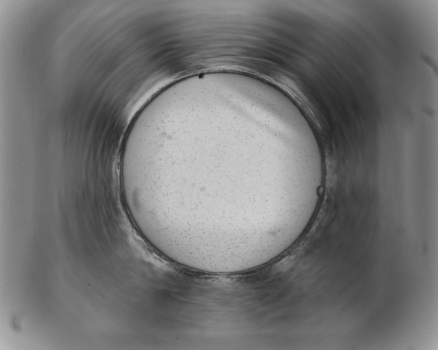 X0000102360814200808221714