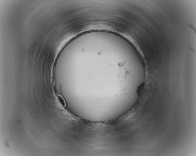 X0000102360815200808221714