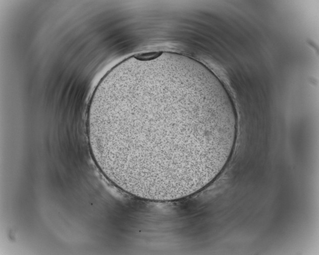 X0000102360816200808221714