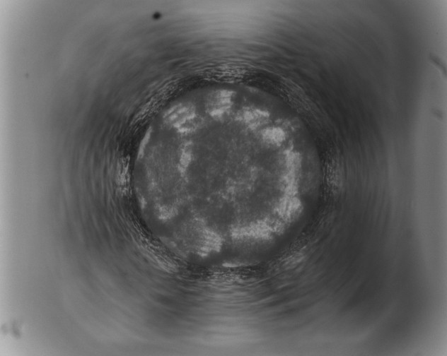 X0000102360818200808221714