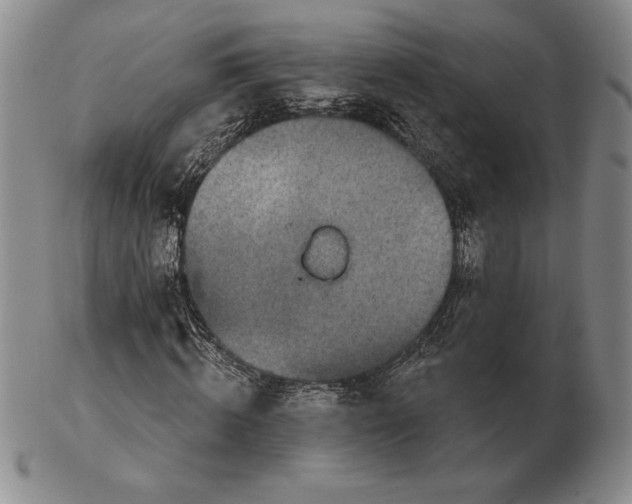 X0000102360820200808221714