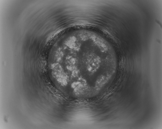 X0000102360822200808221714