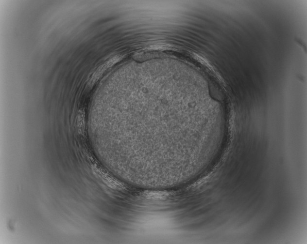 X0000102360825200808221714