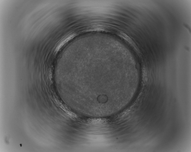 X0000102360826200808221714