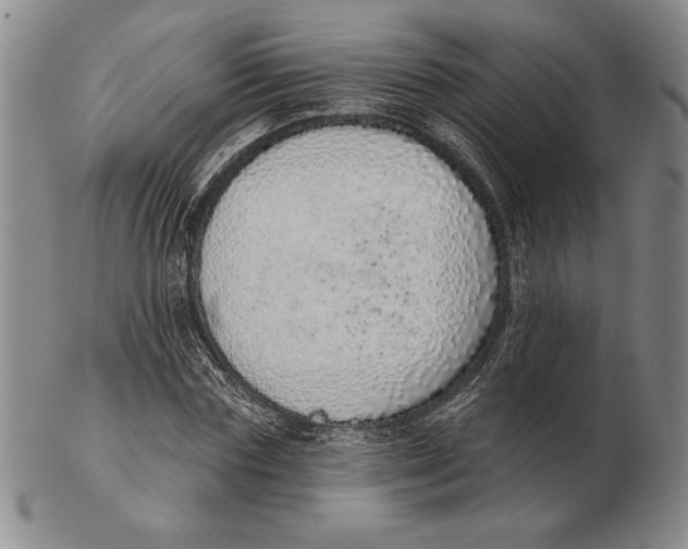 X0000102360827200808221714