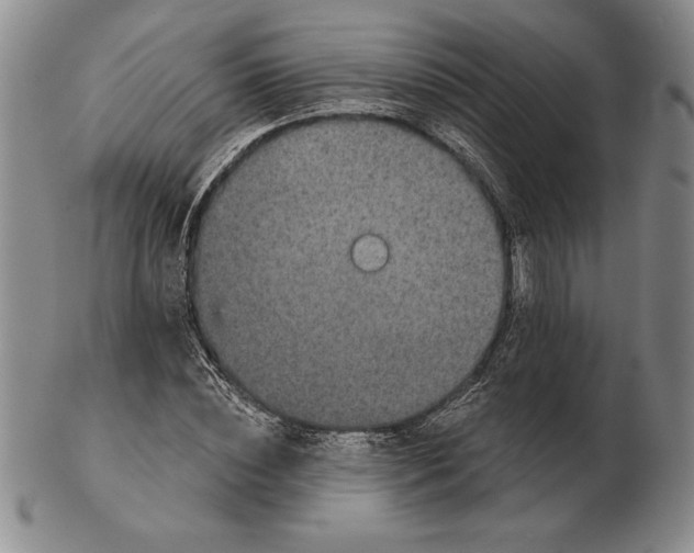 X0000102360828200808221714