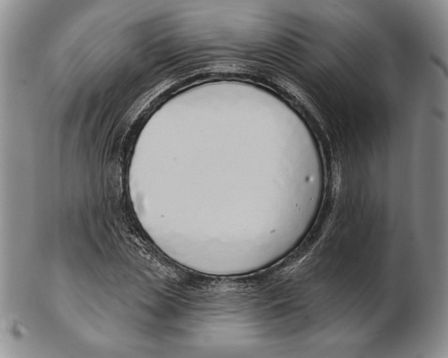 X0000102360829200808221714