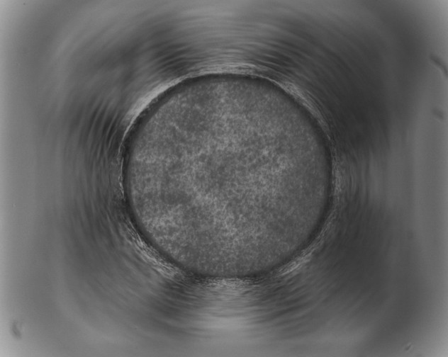 X0000102360830200808221714