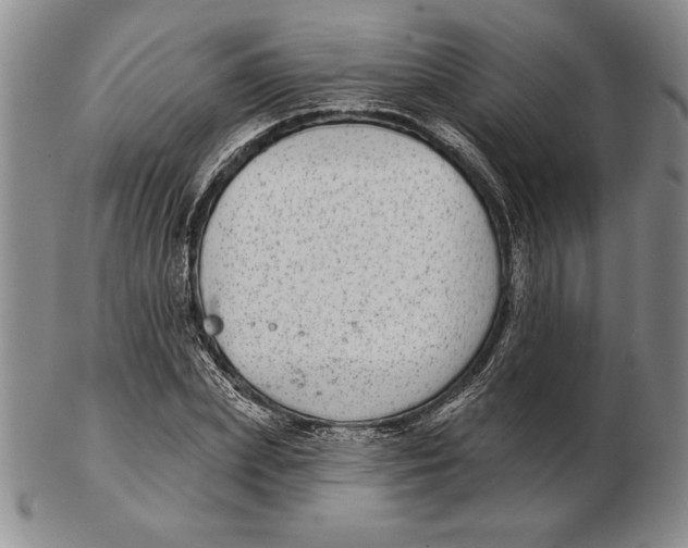 X0000102360831200808221714