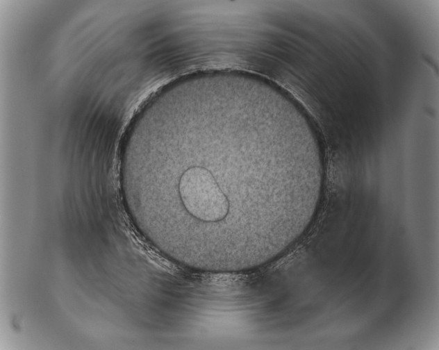 X0000102360832200808221714