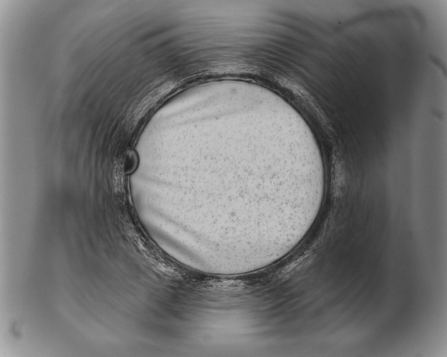 X0000102360833200808221714