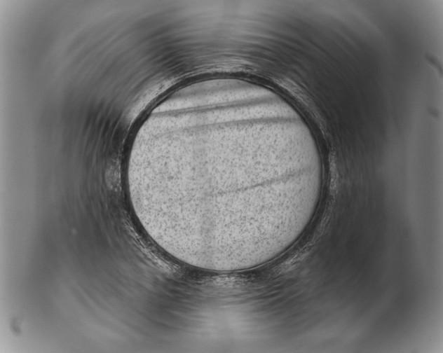 X0000102360834200808221714