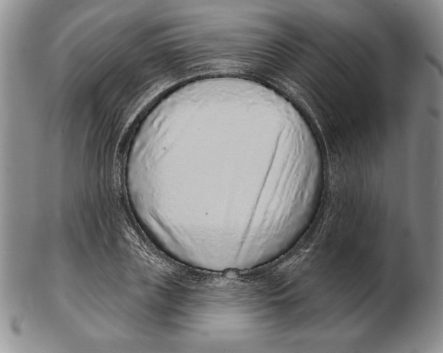 X0000102360835200808221714