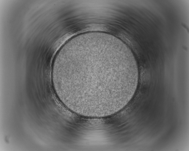 X0000102360836200808221714