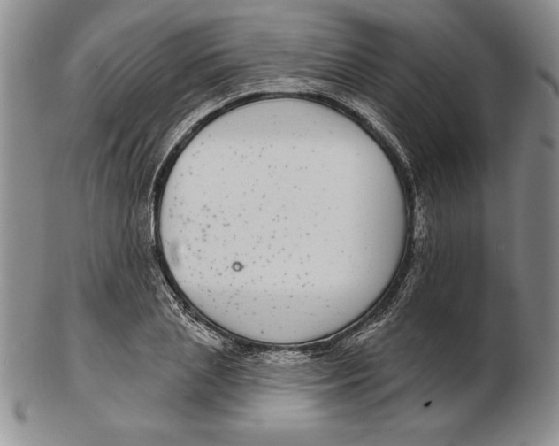 X0000102360837200808221714