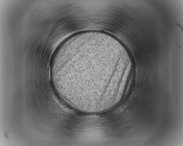 X0000102360838200808221714