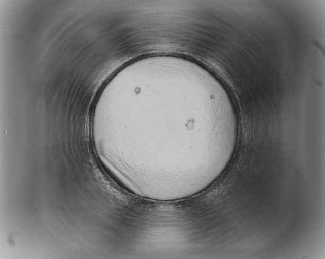 X0000102360839200808221714