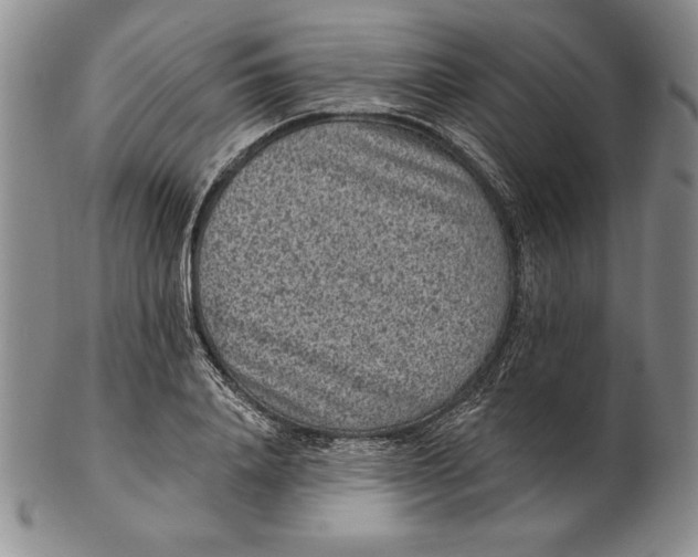 X0000102360840200808221714