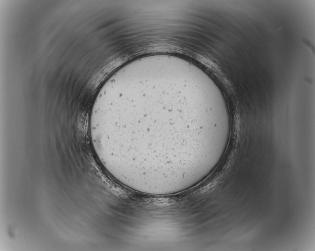 X0000102360841200808221714